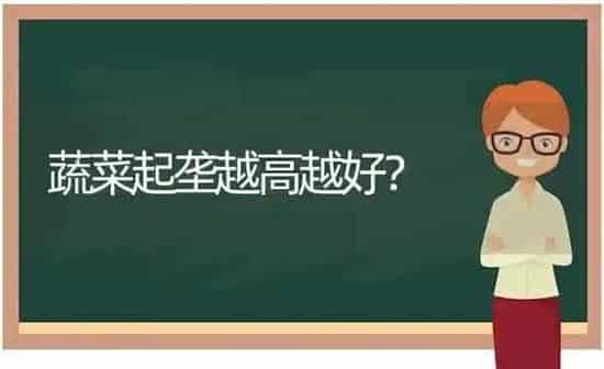 蔬菜起垄越高越好？ | 蔬菜种植