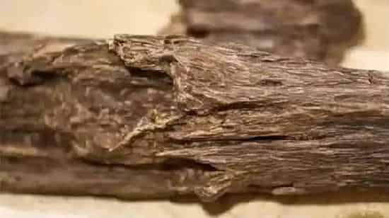 植物百科|奇楠沉香的用途及价值（正宗三年的奇楠沉香木市场价）