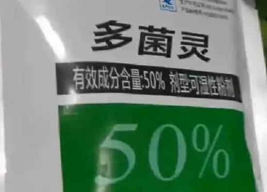 植物浇水|多菌灵可以浇蟹爪兰吗
