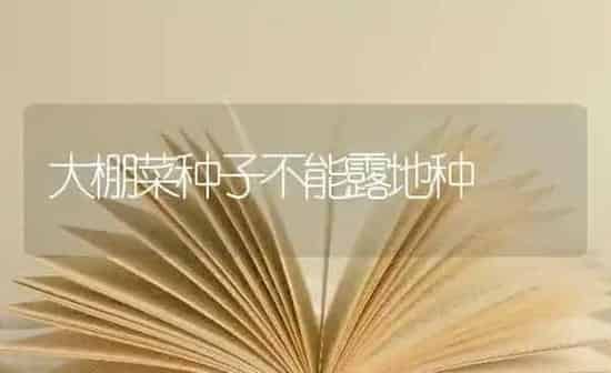 大棚菜种子不能露地种 | 蔬菜种植