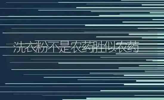 洗衣粉不是农药胜似农药 | 种植病虫害防治