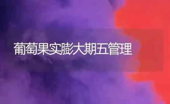 葡萄果实膨大期五管理 | 瓜果种植