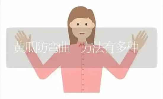 黄瓜防弯曲 方法有多种 | 蔬菜种植