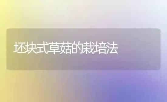 坯块式草菇的栽培法 | 食用菌种植