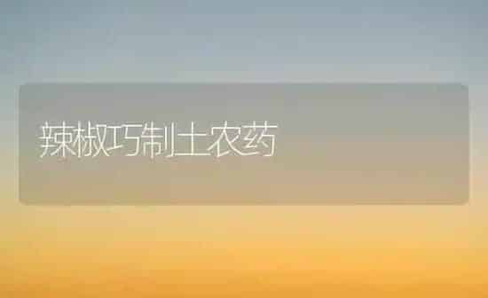 辣椒巧制土农药 | 种植病虫害防治