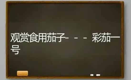 观赏食用茄子---彩茄一号 | 蔬菜种植