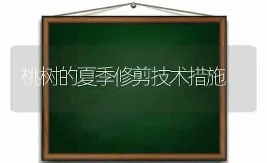 桃树的夏季修剪技术措施 | 瓜果种植