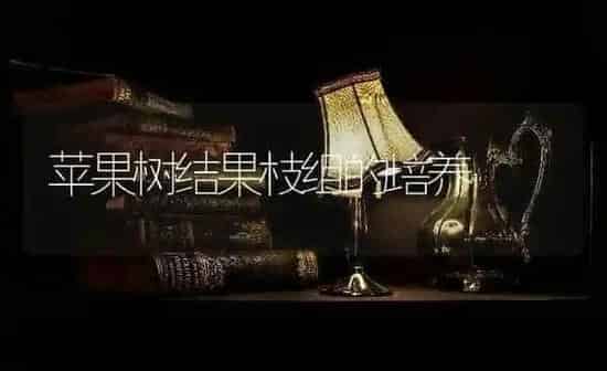 苹果树结果枝组的培养 | 瓜果种植