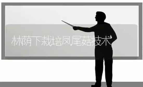 林荫下栽培凤尾菇技术 | 食用菌种植
