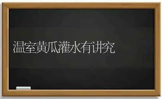 温室黄瓜灌水有讲究 | 蔬菜种植