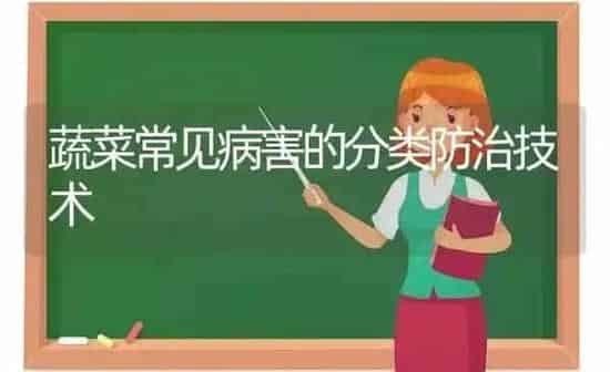 蔬菜常见病害的分类防治技术 | 蔬菜种植