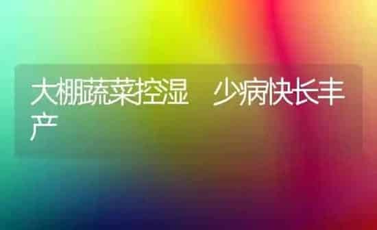 大棚蔬菜控湿 少病快长丰产 | 蔬菜种植