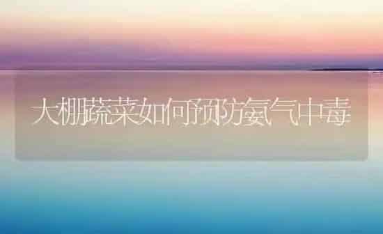 大棚蔬菜如何预防氨气中毒 | 蔬菜种植