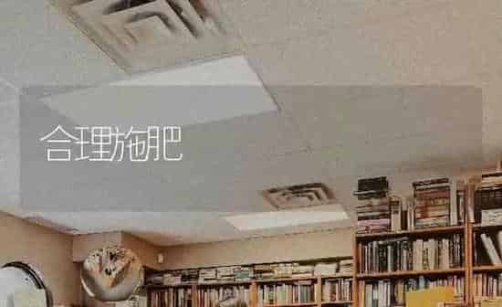 合理施肥 | 种植肥料施肥