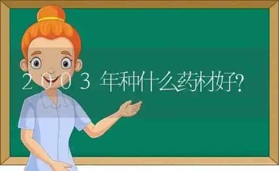 2003年种什么药材好？ | 药材种植