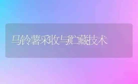 马铃薯采收与贮藏技术 | 粮油作物种植