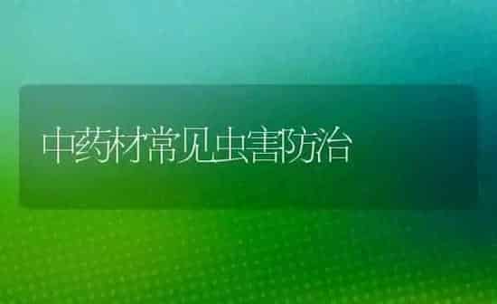 中药材常见虫害防治 | 药材种植