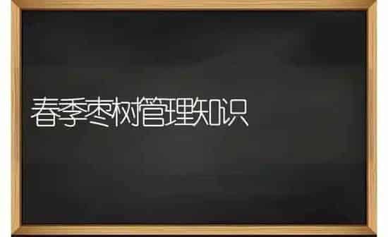 春季枣树管理知识 | 瓜果种植