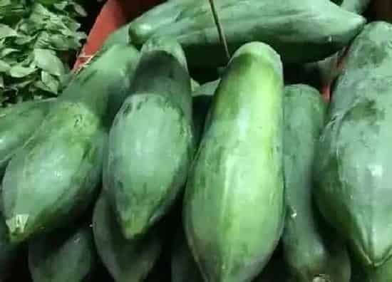 果实成熟|青木瓜什么时候成熟 成熟季节是几月份