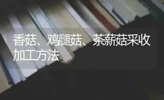 香菇、鸡腿菇、茶薪菇采收加工方法 | 食用菌种植