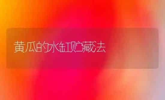 黄瓜的水缸贮藏法 | 蔬菜种植