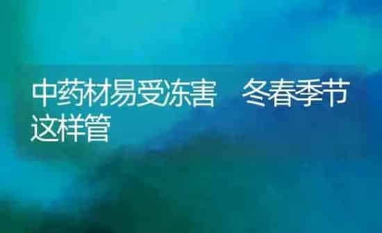 中药材易受冻害 冬春季节这样管 | 药材种植