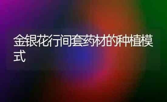 金银花行间套药材的种植模式 | 药材种植