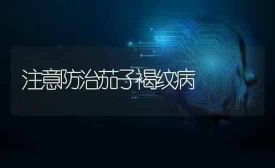 注意防治茄子褐纹病 | 蔬菜种植