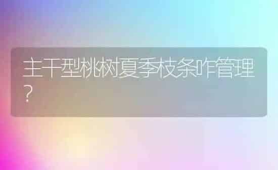 主干型桃树夏季枝条咋管理？ | 瓜果种植