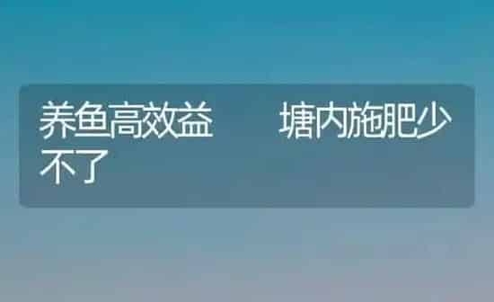 养鱼高效益  塘内施肥少不了 | 种植肥料施肥