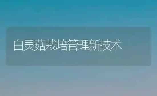 白灵菇栽培管理新技术 | 食用菌种植