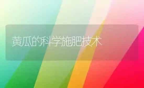 黄瓜的科学施肥技术 | 种植肥料施肥