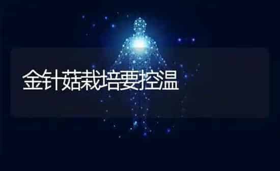 金针菇栽培要控温 | 食用菌种植