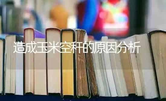 造成玉米空秆的原因分析 | 粮油作物种植