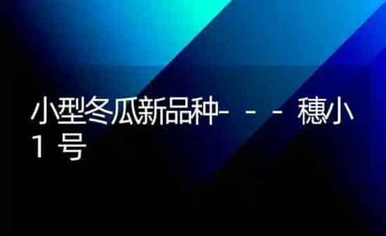 小型冬瓜新品种---穗小1号 | 蔬菜种植