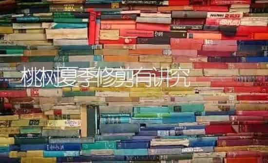 桃树夏季修剪有讲究 | 瓜果种植
