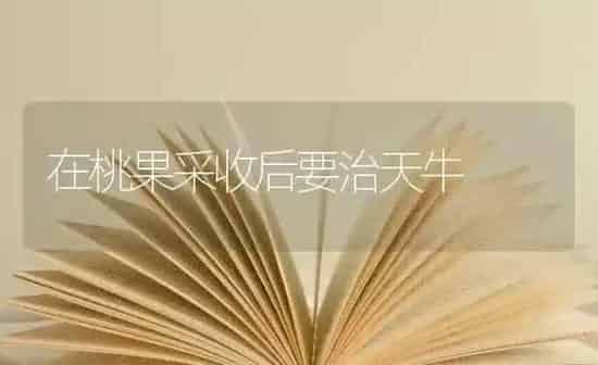 在桃果采收后要治天牛 | 瓜果种植