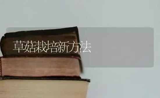 草菇栽培新方法 | 食用菌种植