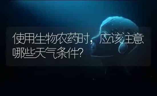 使用生物农药时，应该注意哪些天气条件？ | 种植病虫害防治