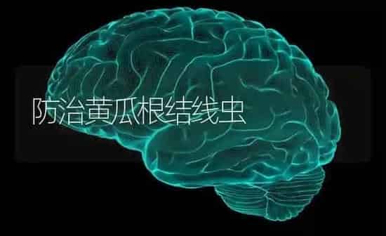 防治黄瓜根结线虫 | 蔬菜种植