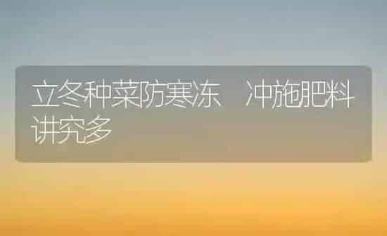 立冬种菜防寒冻 冲施肥料讲究多 | 种植肥料施肥