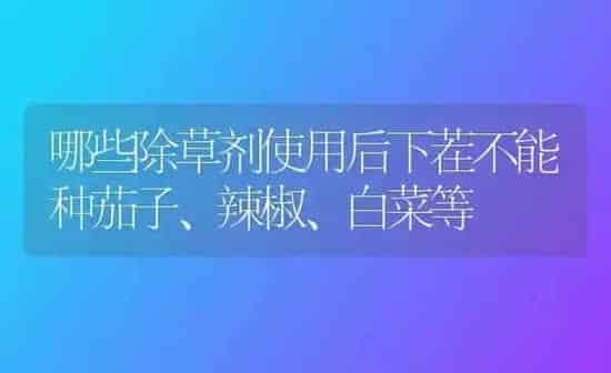 哪些除草剂使用后下茬不能种茄子、辣椒、白菜等 | 蔬菜种植