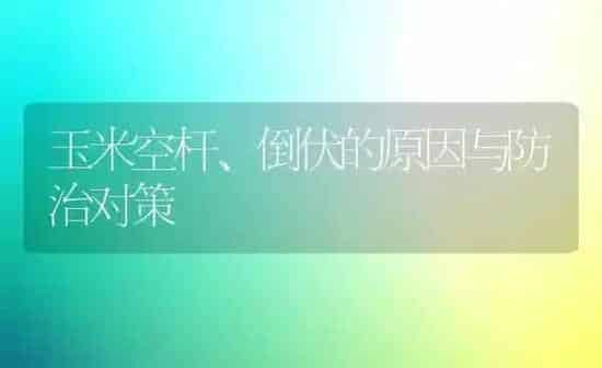 玉米空杆、倒伏的原因与防治对策 | 粮油作物种植