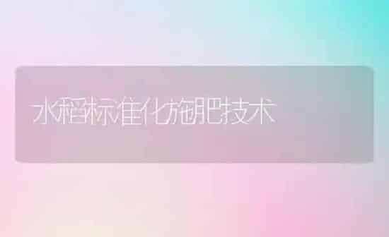 水稻标准化施肥技术 | 粮油作物种植