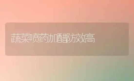 蔬菜喷药加醋防效高 | 蔬菜种植