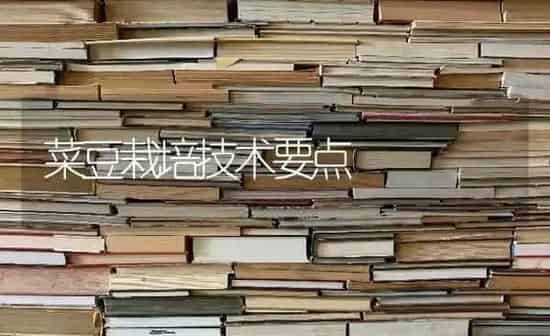 核桃幼树春季要预防病虫害吗 | 种植病虫害防治