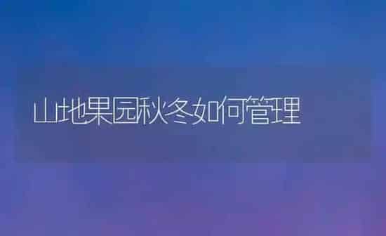 山地果园秋冬如何管理 | 瓜果种植