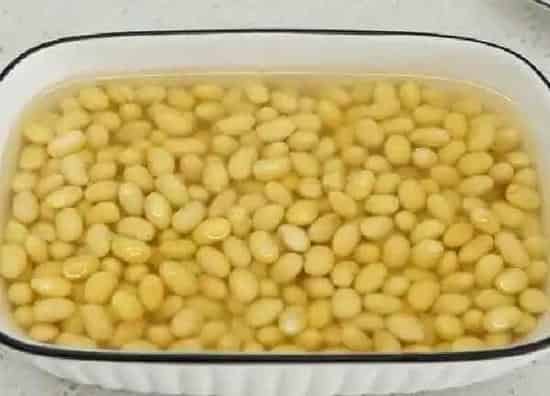 养殖方法|黄豆可以水培吗 水培养殖方法和注意事项