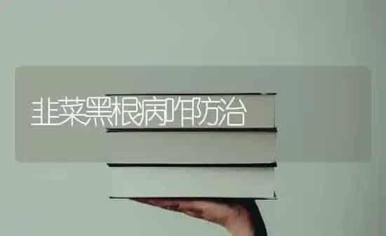 韭菜黑根病咋防治 | 蔬菜种植