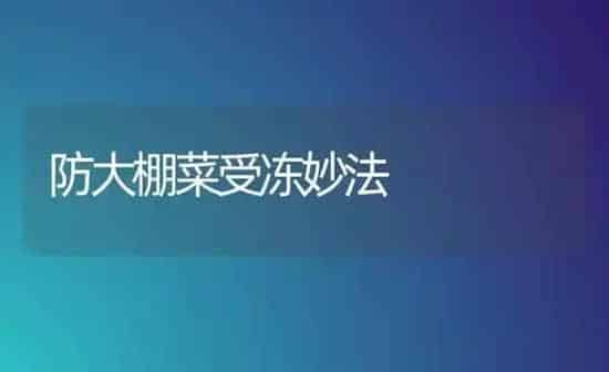 防大棚菜受冻妙法 | 蔬菜种植
